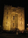 Bunratty castle and village (129)