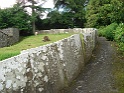 Bunratty castle and village (190)