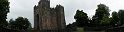 Bunratty castle and village (3)