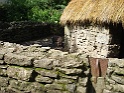 Bunratty castle and village (310)