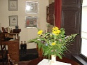 Bunratty castle and village (419)