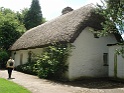 Bunratty castle and village (466)