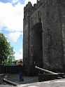 Bunratty castle and village (514)