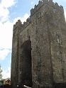 Bunratty castle and village (515)