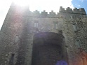 Bunratty castle and village (521)