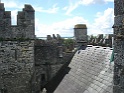 Bunratty castle and village (617)
