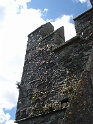 Bunratty castle and village (622)