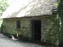 Bunratty castle and village (694)