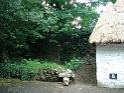 Bunratty castle and village (700)