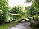 Bunratty castle and village (76)