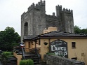 Bunratty castle and village (93)