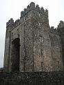 Bunratty castle and village (95)