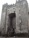 Bunratty castle and village (96)