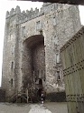 Bunratty castle and village (97)