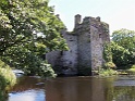 Carrigadrochid Castle (16)