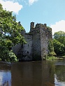 Carrigadrochid Castle (17)